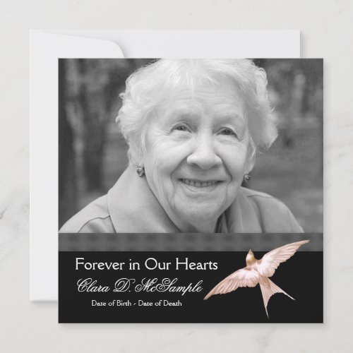 Pink Black Dove Womans Photo Funeral Announcements