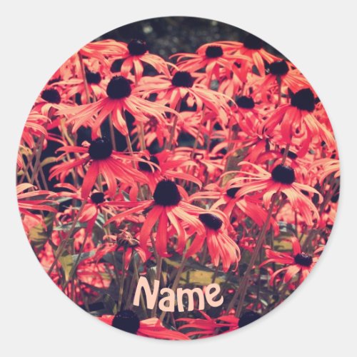 Pink Black Eyed Susan Flowers Personalized Classic Round Sticker