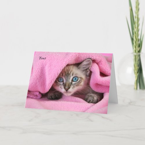 Pink Blankie Thinking of You CatKitten Card