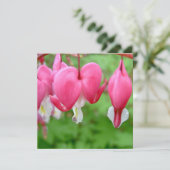 Pink Bleeding Heart (Standing Front)