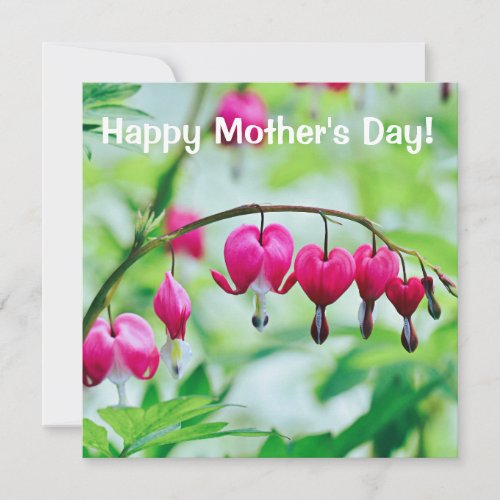 Pink Bleeding heart Flower card Mothers Day