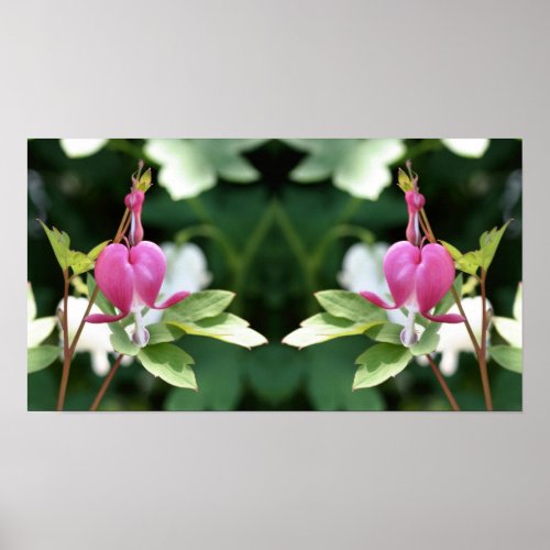 Pink Bleeding Heart Flower Mirror Abstract Poster