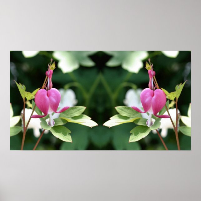 Pink Bleeding Heart Flower Mirror Abstract Poster (Front)