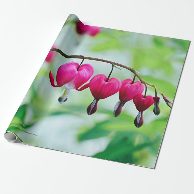 Pink Bleeding heart Flower Pretty Elegant Wrapping Paper (Unrolled)