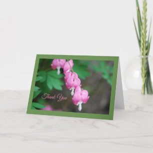 Pink Bleeding Hearts Greeting Card