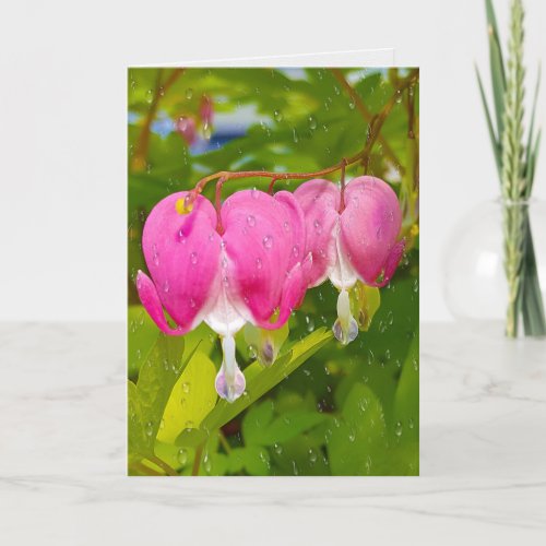 Pink Bleeding Hearts With Raindrops Card