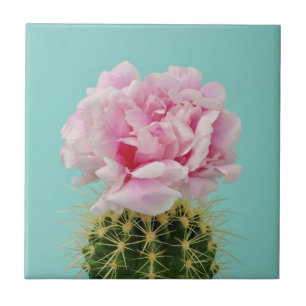 Pink Bloom Atop Spiky Cactus Ceramic Tile