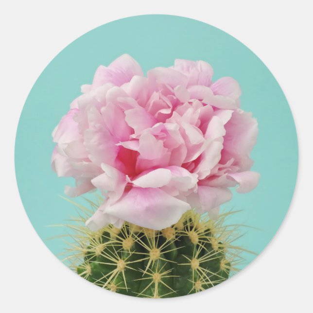 Pink Bloom Atop Spiky Cactus Classic Round Sticker (Front)