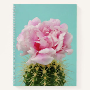 Pink Bloom Atop Spiky Cactus Notebook