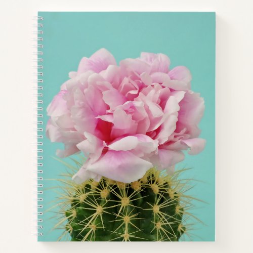 Pink Bloom Atop Spiky Cactus Notebook