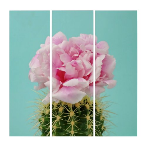 Pink Bloom Atop Spiky Cactus Triptych
