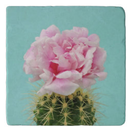 Pink Bloom Atop Spiky Cactus Trivet