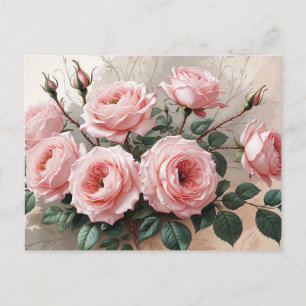 Pink Blooming Roses Postcard