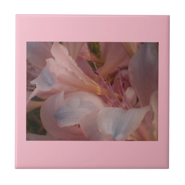 Pink Blooms Ceramic Tile (Front)
