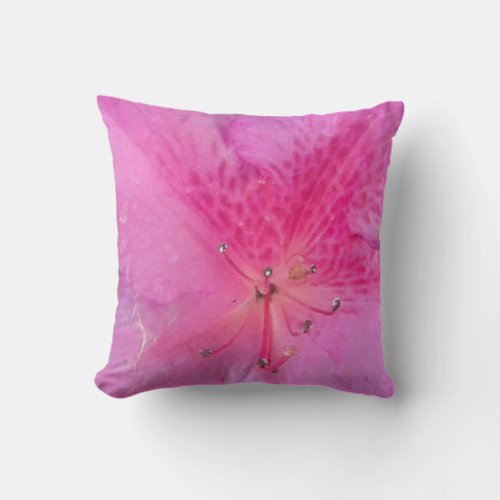 Pink Blossom Dreams 16 x 16 Floral Throw Pillow