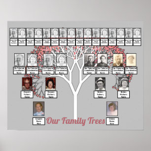 Pink Blossom Fractal Tree Gray Two Family Trees Poster