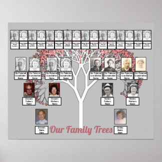 Pink Blossom Fractal Tree Gray Two Family Trees Poster