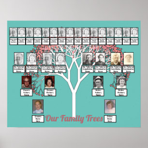 Pink Blossom Fractal Tree Teal 2 Family Trees Poster