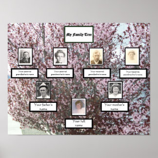 Pink Blossom Three-Generation Photo Family Tree Poster