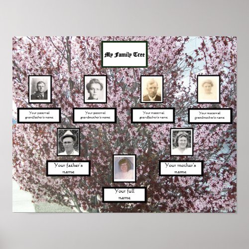 Pink Blossom Three_Generation Photo Family Tree Poster