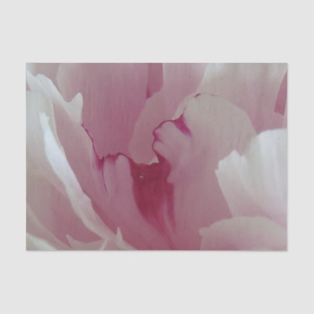 Pink Blossom Tissue Paper (Front)