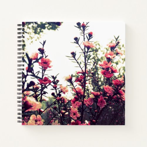Pink Blossom Wild Meadow Photo Notebook