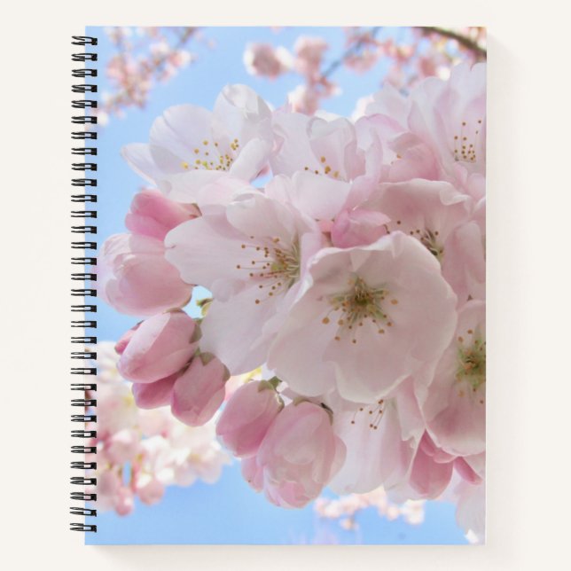 Pink Blossoms Blue Sky. Notebook (Front)