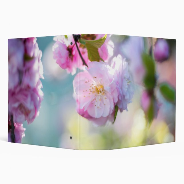 pink blossoms close 3 ring binder (Background)