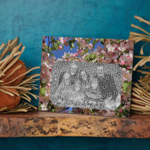 Pink Blossoms Create Your Own Photo Plaque