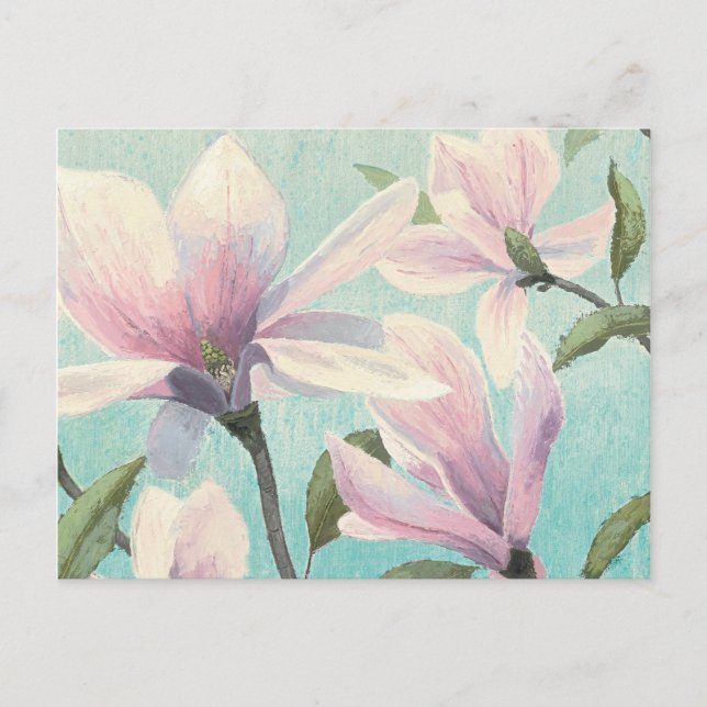 Pink Blossoms from the South Postcard (Front)