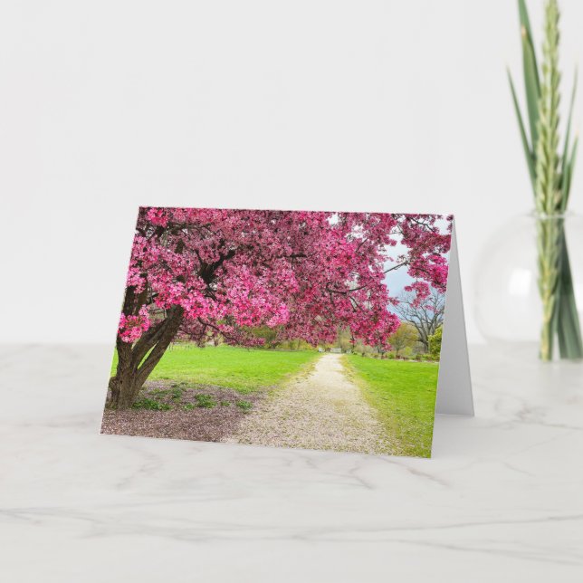 Pink Blossoms Greeting Card (Front)