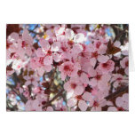 Pink Blossoms on Ornamental Flowering Tree