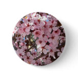 Pink Blossoms on Ornamental Flowering Tree Button