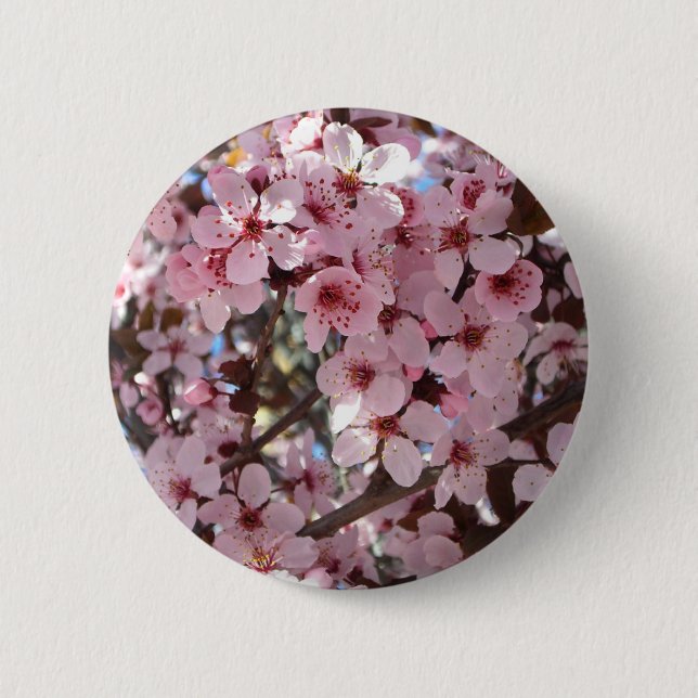 Pink Blossoms on Ornamental Flowering Tree Button (Front)