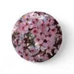 Pink Blossoms on Ornamental Flowering Tree Button