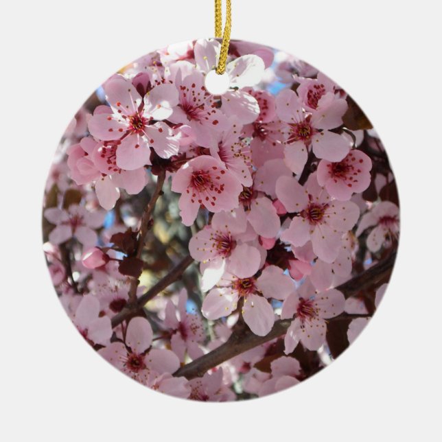 Pink Blossoms on Ornamental Flowering Tree Ceramic Ornament (Front)