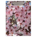 Pink Blossoms on Ornamental Flowering Tree Clipboard