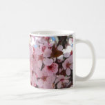 Pink Blossoms on Ornamental Flowering Tree Coffee Mug