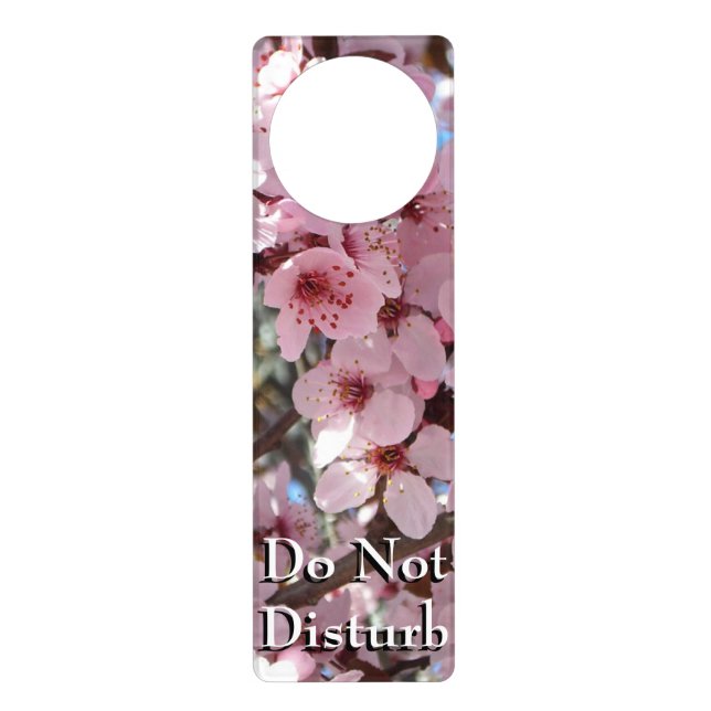 Pink Blossoms on Ornamental Flowering Tree Door Hanger (Front)