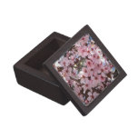 Pink Blossoms on Ornamental Flowering Tree Jewelry Box