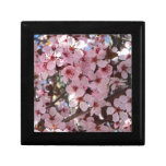 Pink Blossoms on Ornamental Flowering Tree Jewelry Box