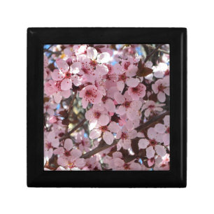 Pink Blossoms on Ornamental Flowering Tree Jewelry Box