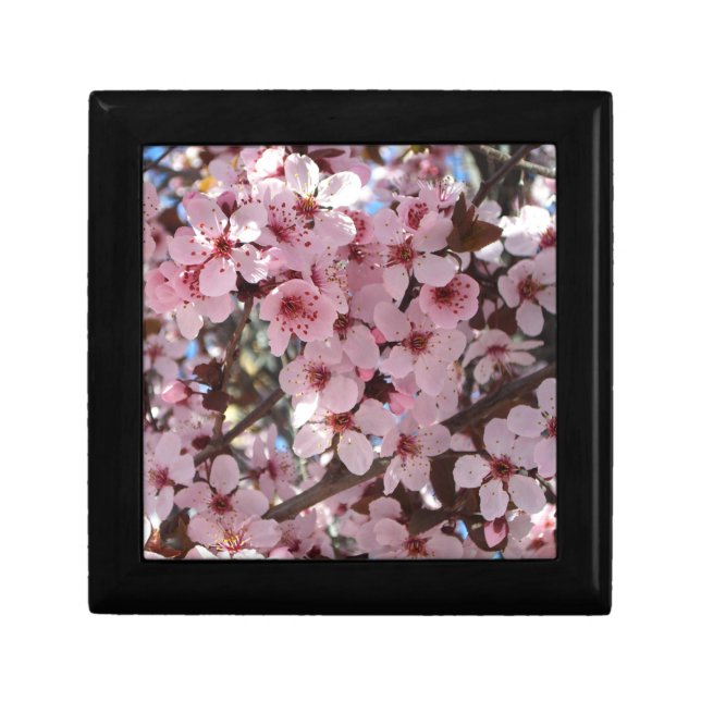 Pink Blossoms on Ornamental Flowering Tree Jewelry Box (Front)