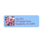 Pink Blossoms on Ornamental Flowering Tree Label