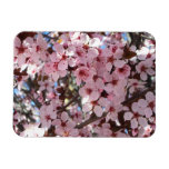 Pink Blossoms on Ornamental Flowering Tree Magnet