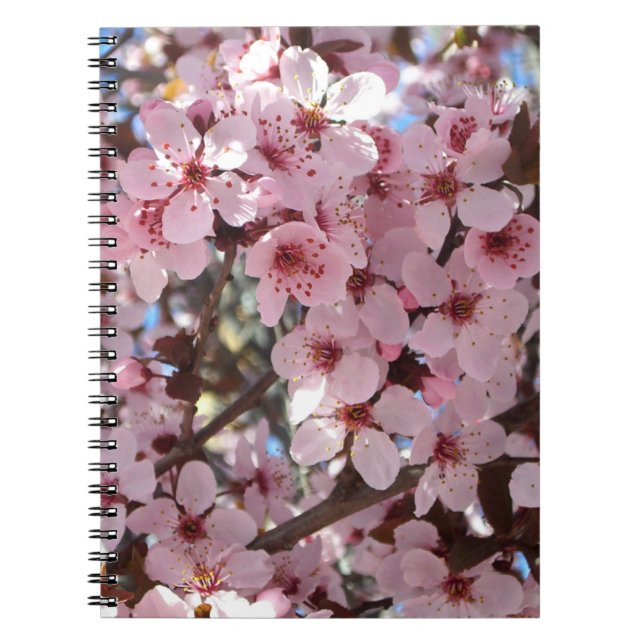 Pink Blossoms on Ornamental Flowering Tree Notebook (Front)