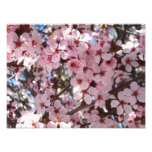 Pink Blossoms on Ornamental Flowering Tree Photo Print