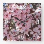 Pink Blossoms on Ornamental Flowering Tree Square Wall Clock