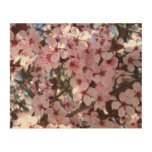 Pink Blossoms on Ornamental Flowering Tree Wood Wall Decor