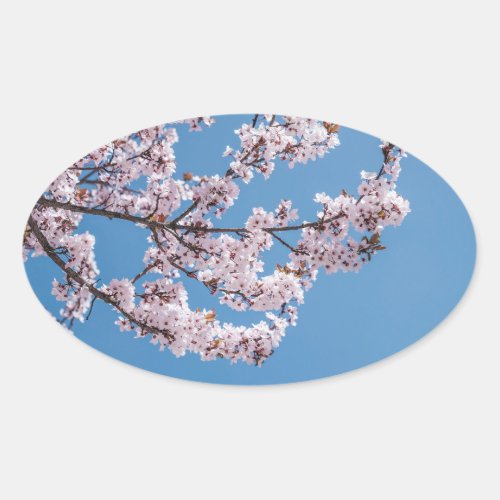 pink blossoms sky oval sticker